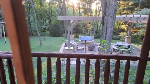 The Tiny Cabin