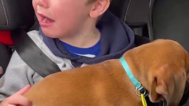 child crying about dog gift