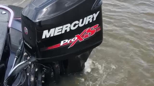 Mercury 150 hp Optimax 2 stroke idle