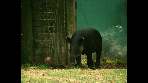 Nashville Zoo