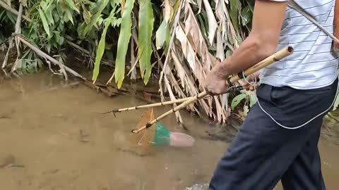 cari ikan di pinggiran kebun dapat banyak babon-13