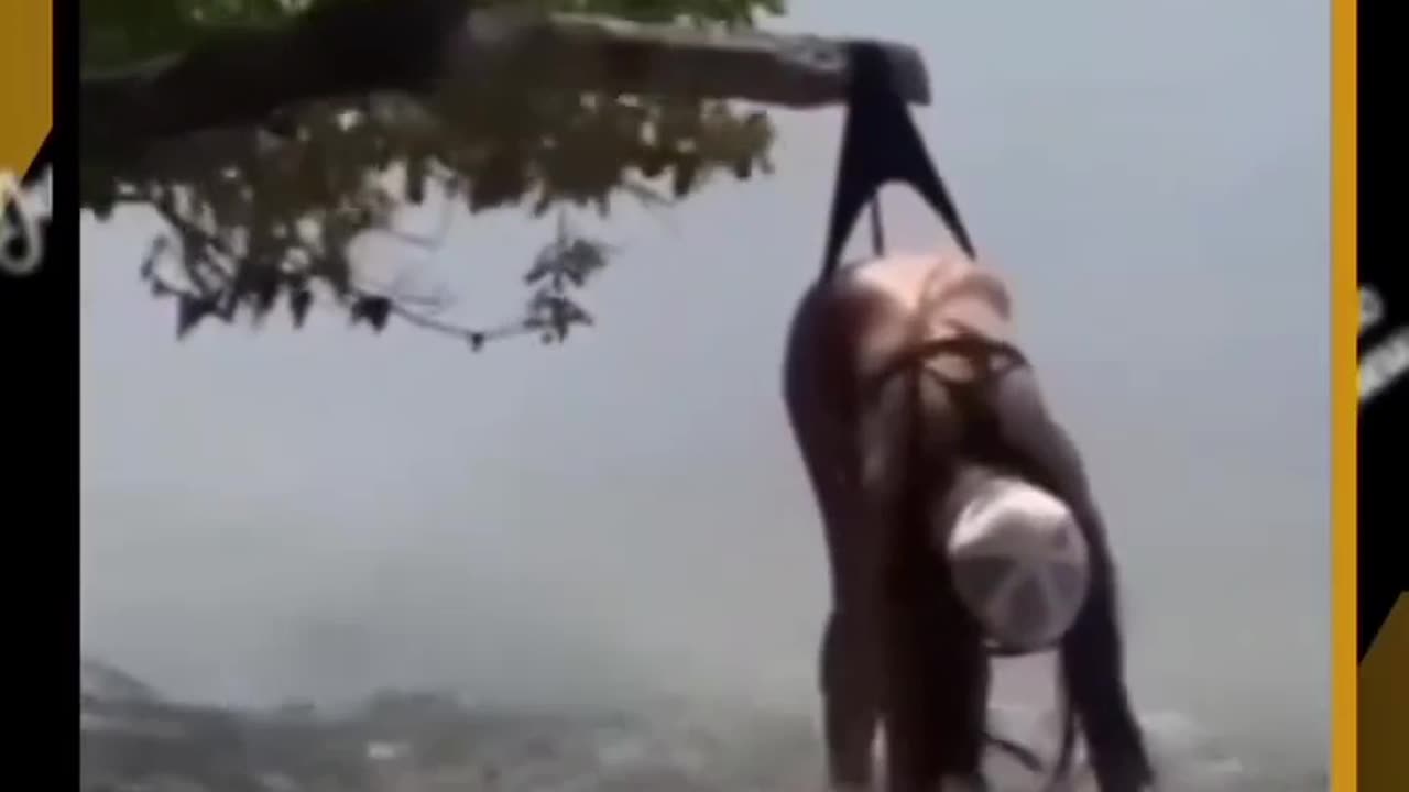 Funniest videos ever 😂 😂 ll