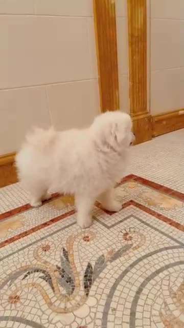 f9sz2meS6GqsfogrTgriqM