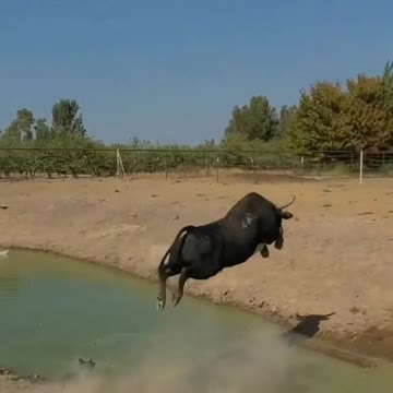 Makes me think of Van Halen #Jump