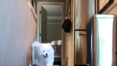Very very funny and cut