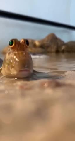 Grab and Go 🤣🤣🤣