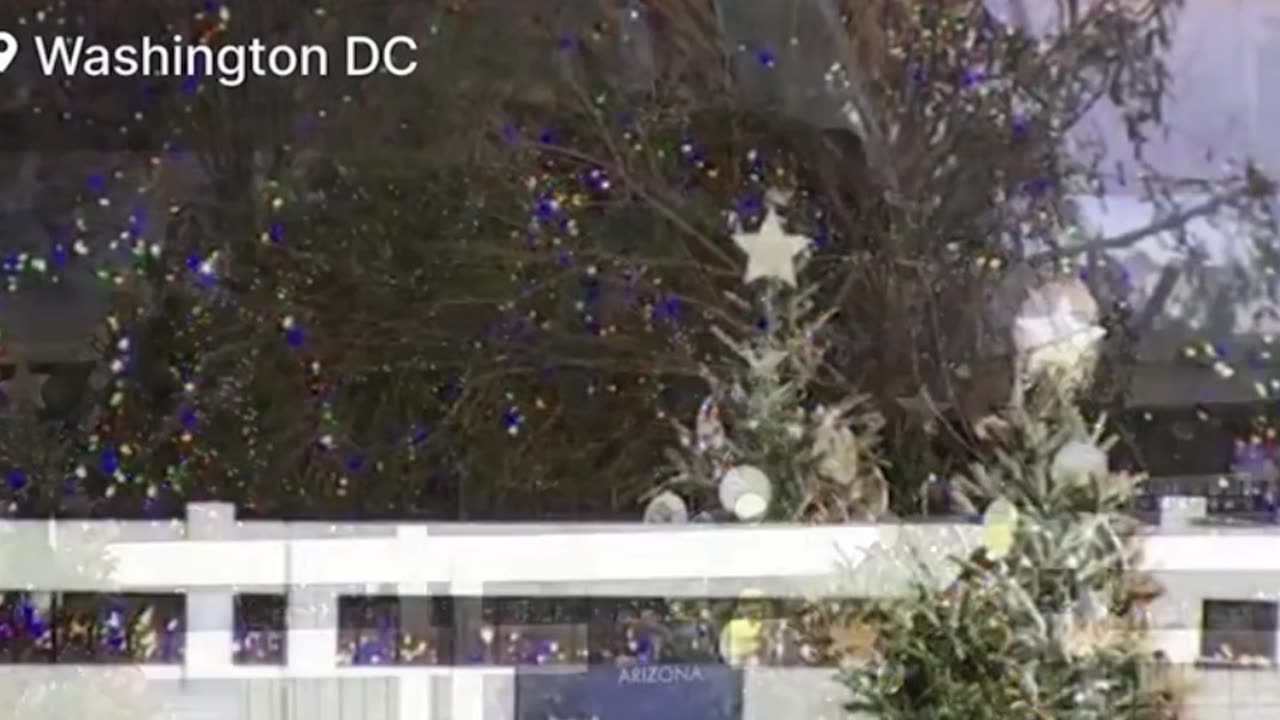 🎄D.C. or XMAS OMEN?