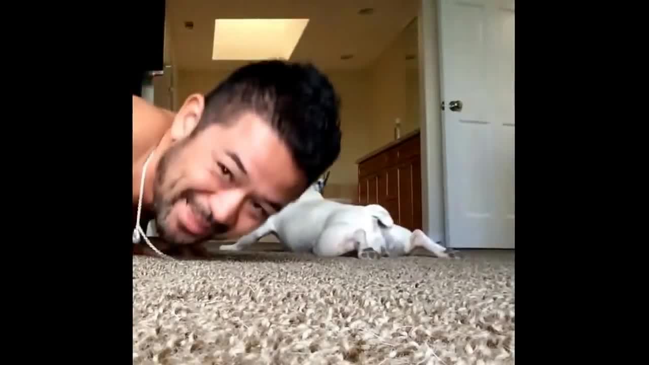 Dog doing push-ups with his owner