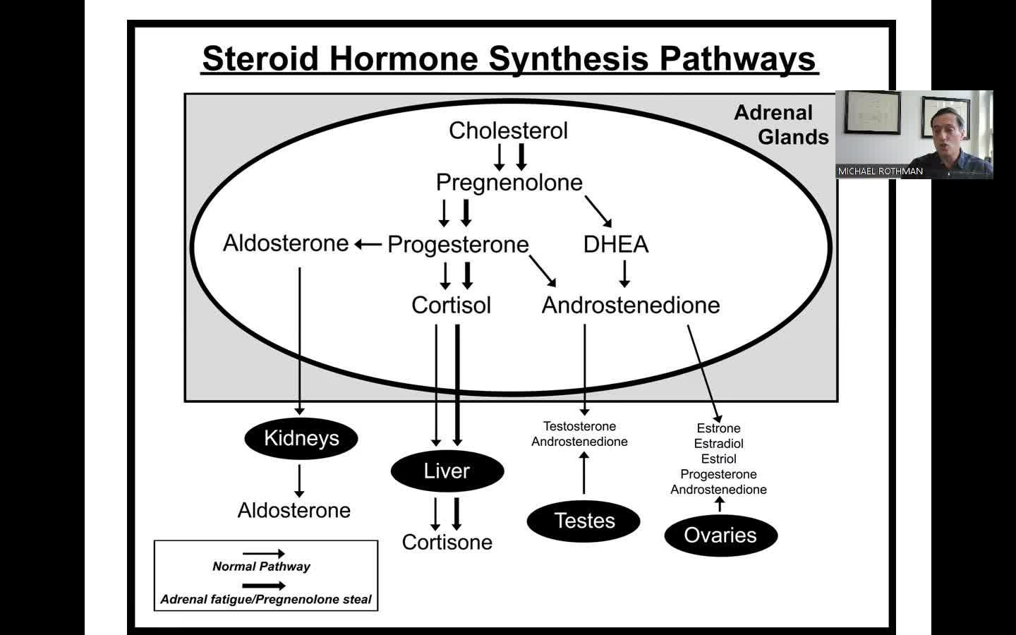 Cholesterol is the Source of your Hormones