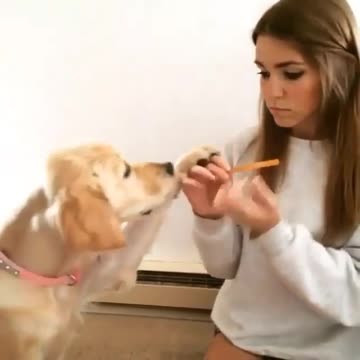 Do it for me too pleasee