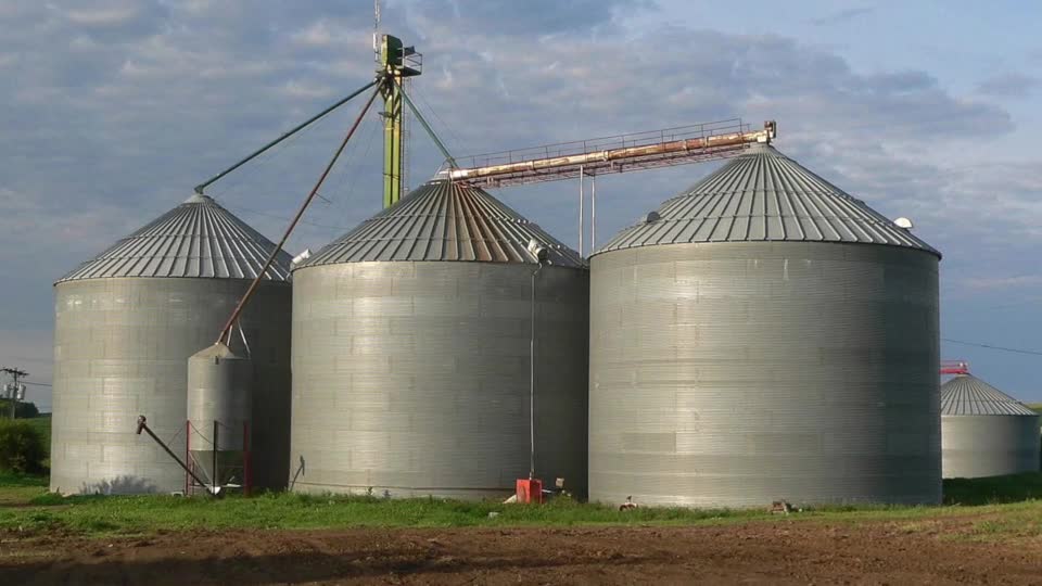 North Dakota woman dies in sunflower seed grain bin