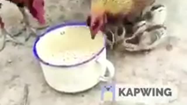 Importance of mother over father please watch