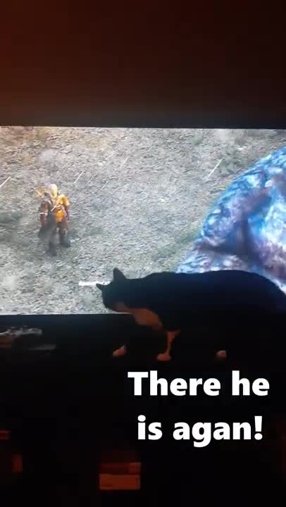 Cat Checks Behind TV For Werewolf