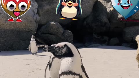 Penguin Cuteness