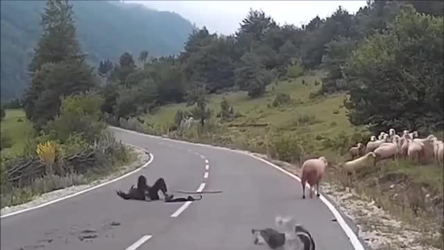 he likes the road