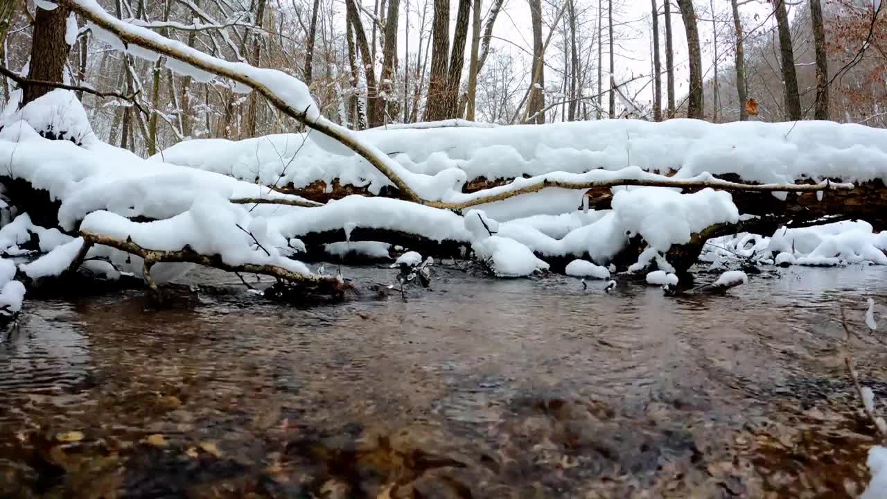 10 minutes natural music for stress relief