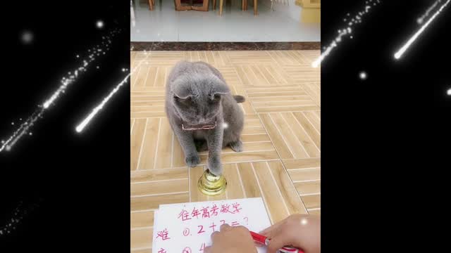 Cats communicate so easily!