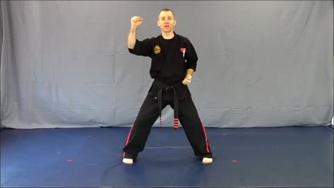 Basic Skillz Blue Belt - Purple Stripe