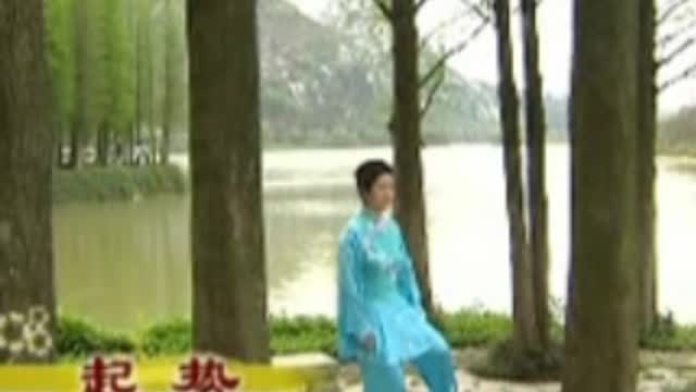 Wudang Taichi 13 Style Rare Video