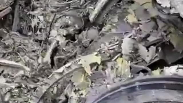 Downed Jet unknown time or place