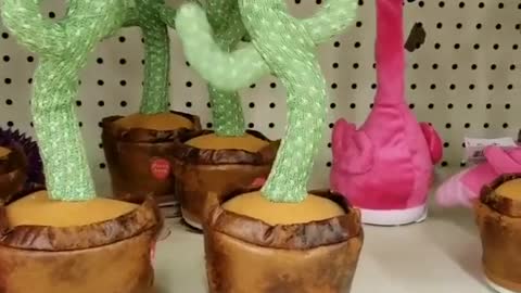 Cactus Dance