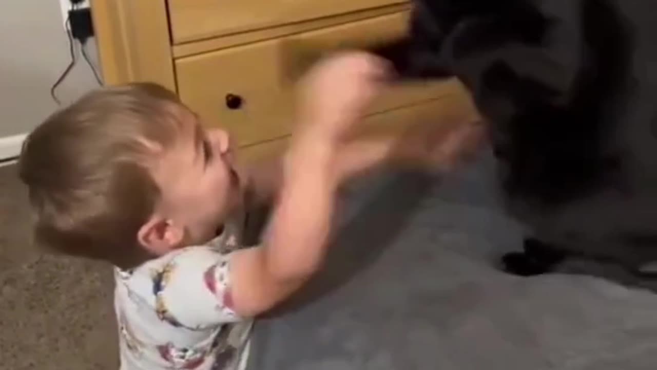 Baby plays to cat