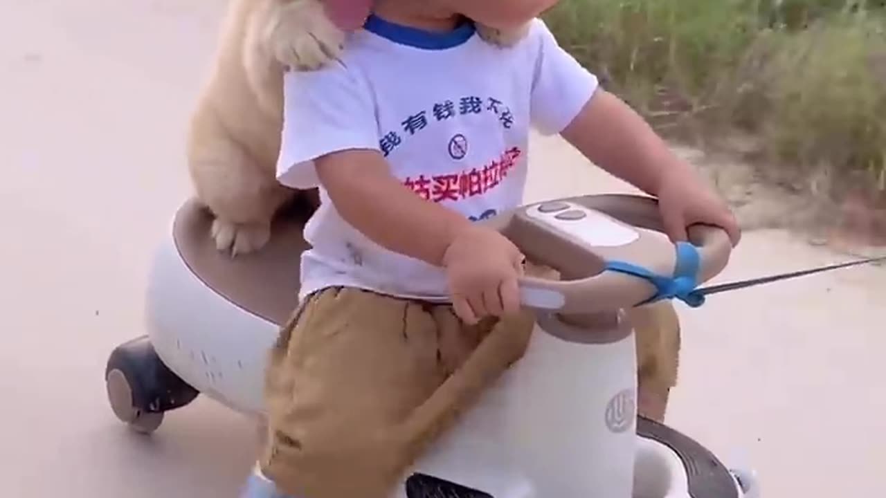 Puppy Rides a Tricycle with Baby!