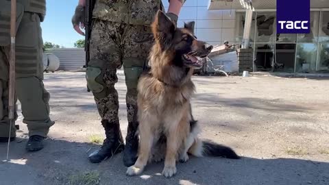 07.24.2022 Chronicle of military operations "Russia - Ukraine"