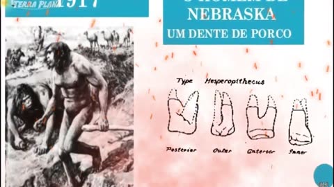 Canal Evidências - MvVGP2ccMGg - EVOLUÇÃO A TEORIA DA QUE TIROU DEUS DA CRIAÇÃO É UMA FARSA