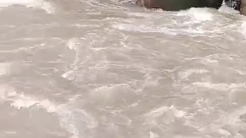 Intartinment video