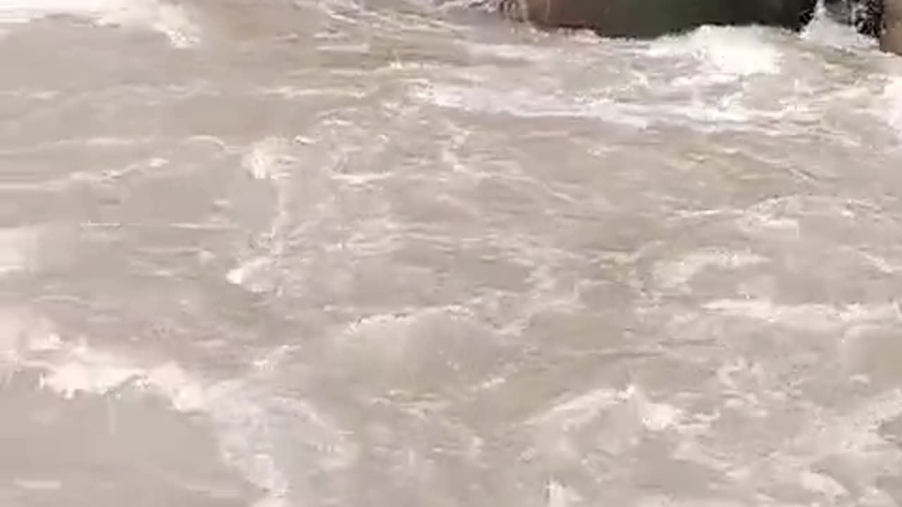 Intartinment video