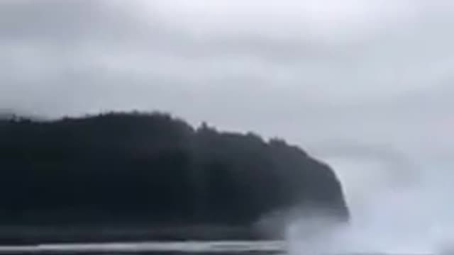 Beautiful whales playing in the sea