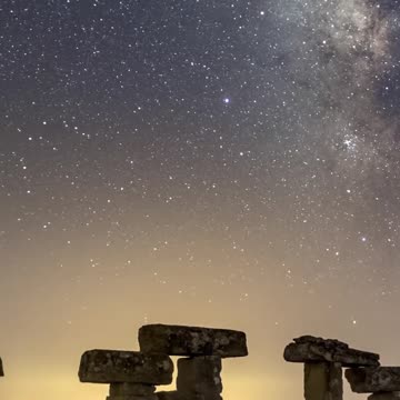 Bees Don't Waste Their Time...