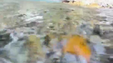 The underwater view is so beautiful