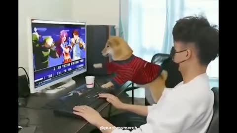 Dog plays video game with his owner