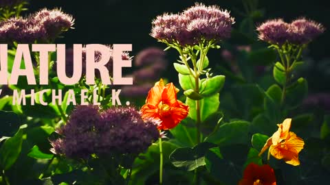 Nature-clip short