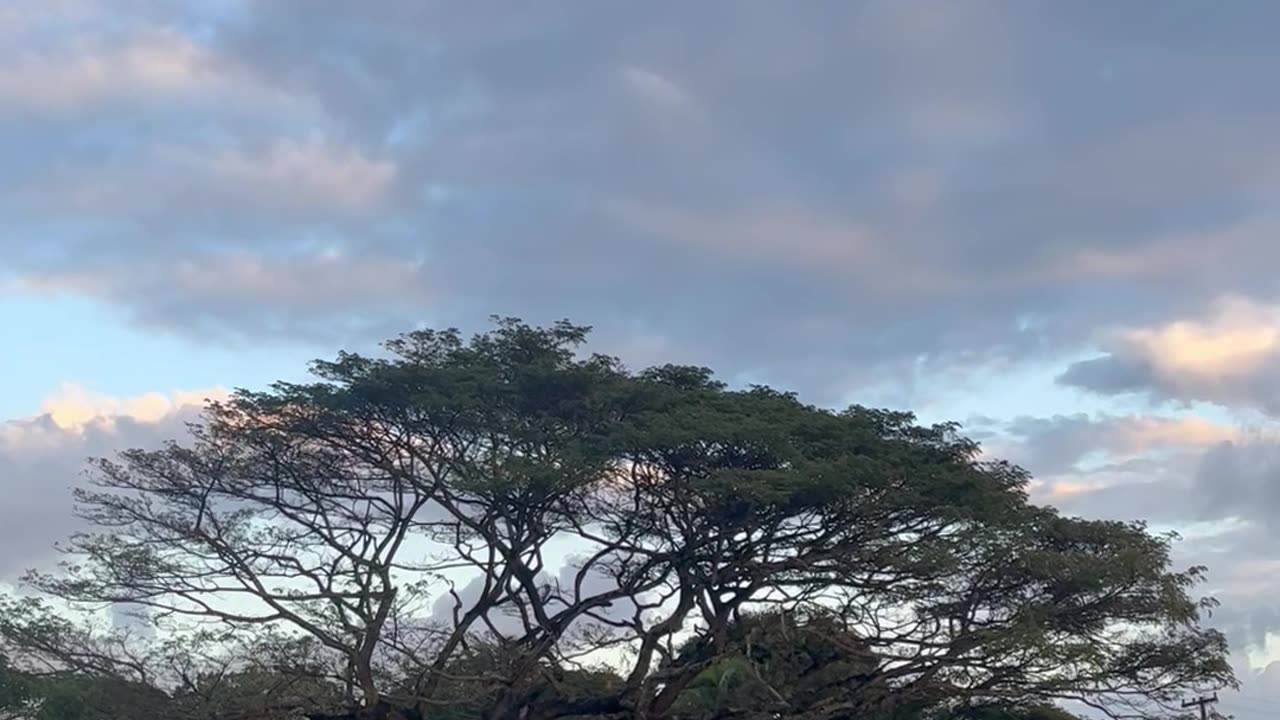 2.10.24 sunset over Kauai