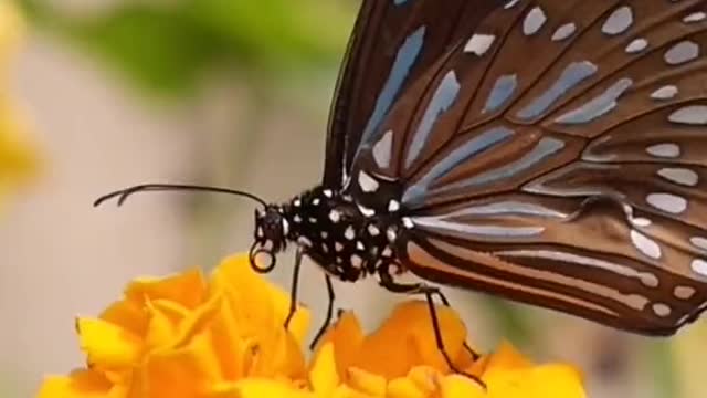 Nature is soooo beautiful...