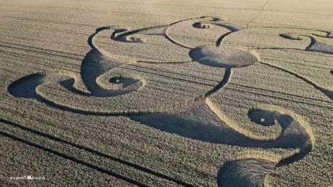 Crop Circle Etchilhampton Hill 08 08 24