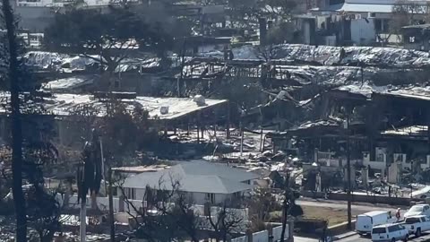 "It is disgusting. It is a land grab."