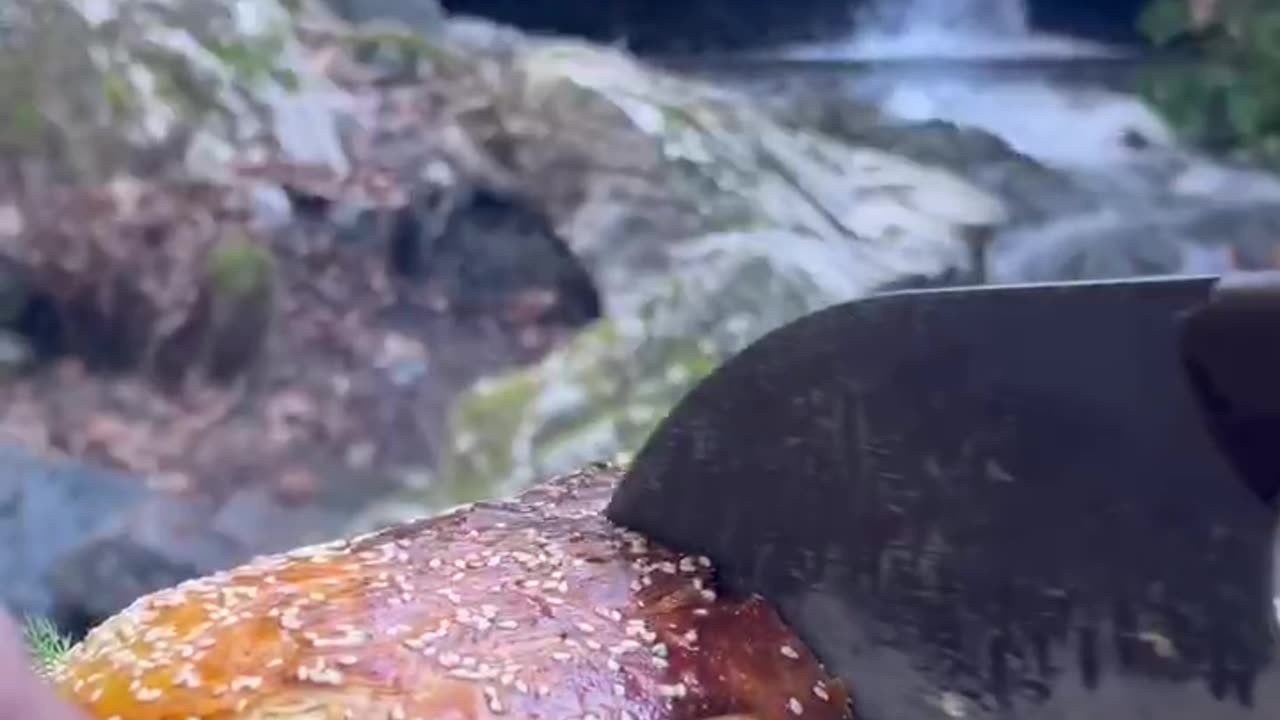 Making toast in nature