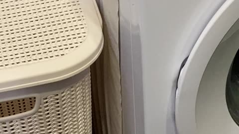 Washing Machine Neatly Stacks Toilet Paper