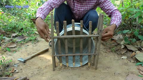 Quick and easy traditional tiger trap technique using wood and plastic container