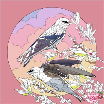 Color pic of the day October 2 2023