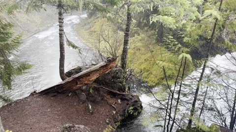Looking Down Koosah Falls and the River Canyon – Sahalie Falls & Koosah Falls Loop – 4K