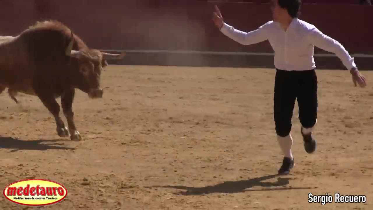 Campeonato con toros 'Recortador De Oro' ๐ ยท Valencia -Fallas- 2016