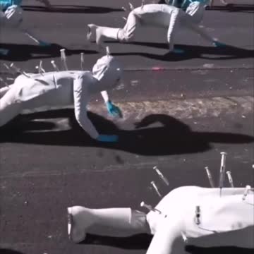 owce wy szczepione na rzeź idące