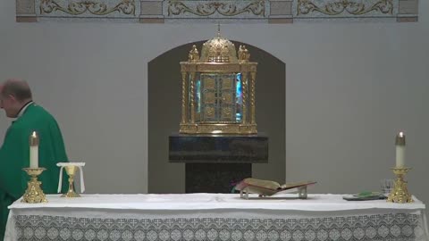 Sunday, February 27, 2022 - 9:00 AM Family Mass with Fr Phil