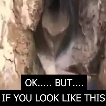 Tit for tat ya tw@#! 😂😂😂 #shorts #funny #memes #comedy