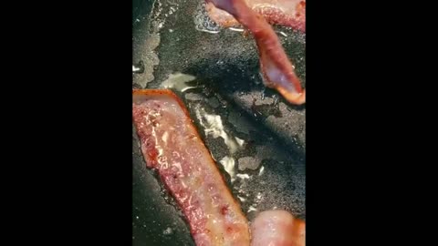 Illinois woman shows viewers how to make mouthwatering bacon avocado sandwich